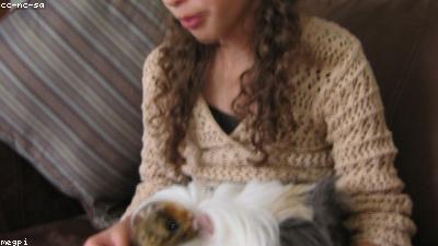 What Do Guinea Pigs Eat? A Complete Diet & Nutrition Guide