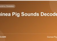 Guinea Pig Sounds Decoded: Wheeking, Purring, Rumbling and What They Mean